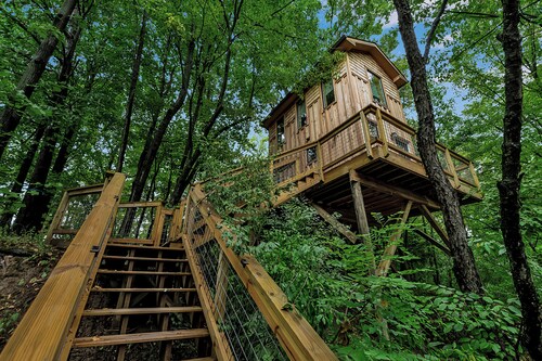 FLX Treehouses 