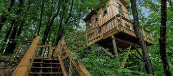 FLX Treehouses