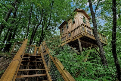FLX Treehouses