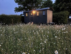A small, dark-colored cabin with a single visible window and a door, surrounded by a field of white flowers. - 1 Bed in Stockport (oc-87592) (Mellor)