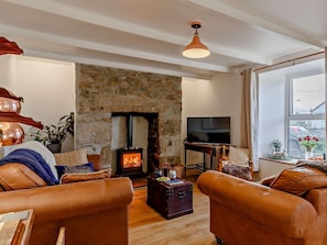 Fernseher, Kamin