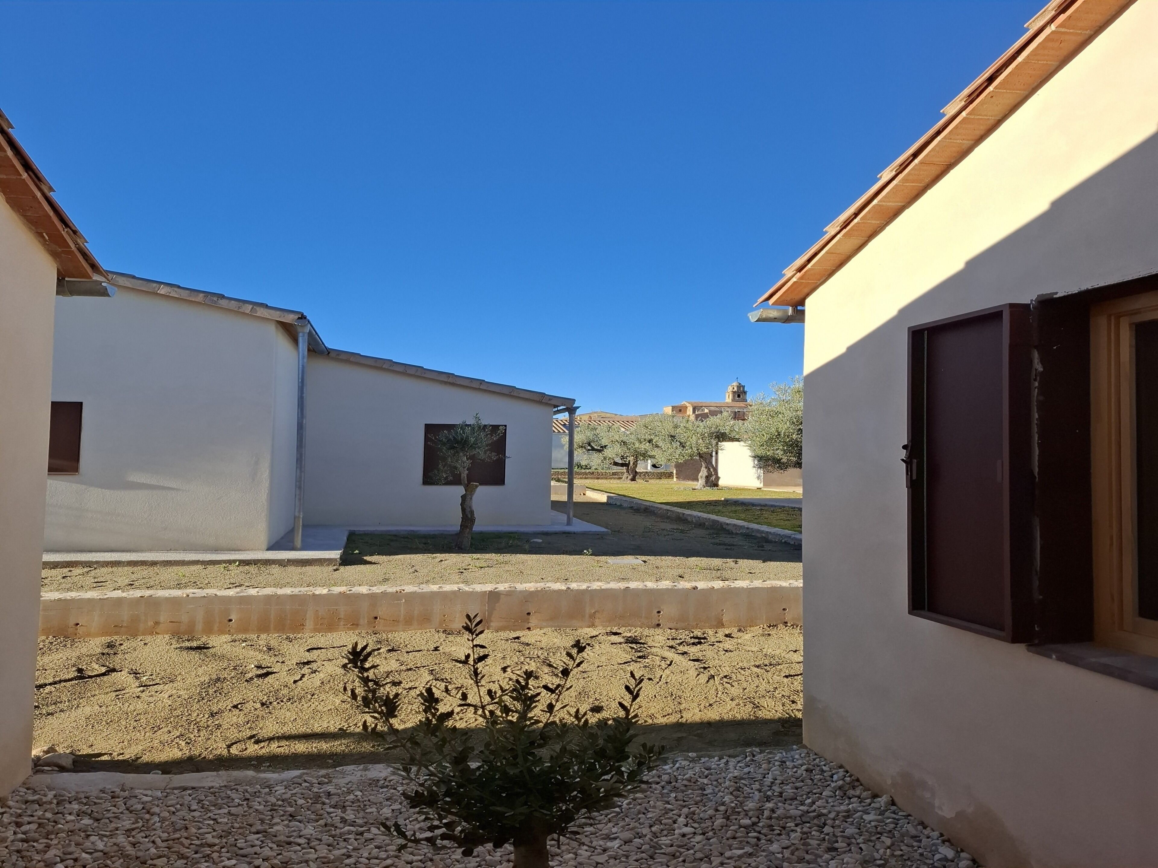 Un patio con un árbol pequeño, un edificio con una ventana y otro edificio al fondo.