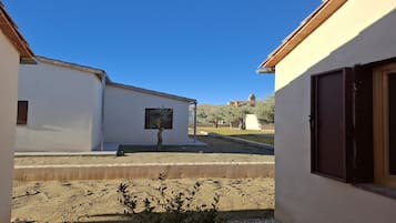 A courtyard with a small tree, a building with a window, and another building in the background.