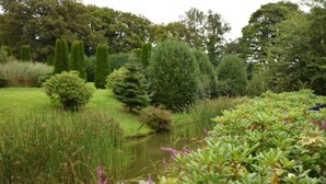 A serene garden with a pond, various shrubs, and trees. - 2 Bed in Barnstaple (oc-87360) (Kentisbury)