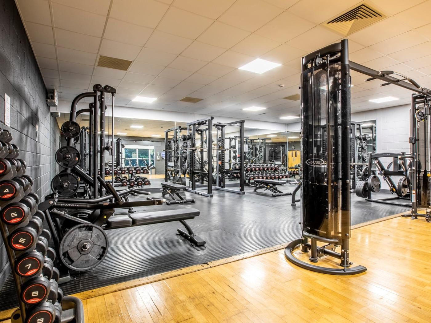 Ein Fitnessstudio mit Gewichte, einer Hantelbank und einem Squat-Gestell.