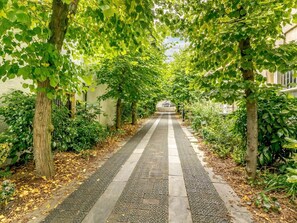 Un sendero bordeado de árboles que lleva a la entrada de un edificio.
