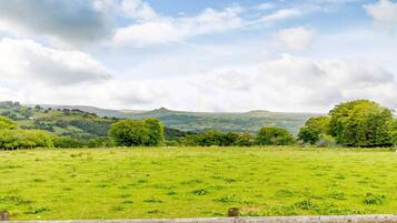 A rural landscape with a grassy field, trees, and rolling hills in the background.