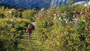A garden with large geodesic domes, a pathway, and a person walking. - 2 Bed in Saltash (oc-88308) (Notter)