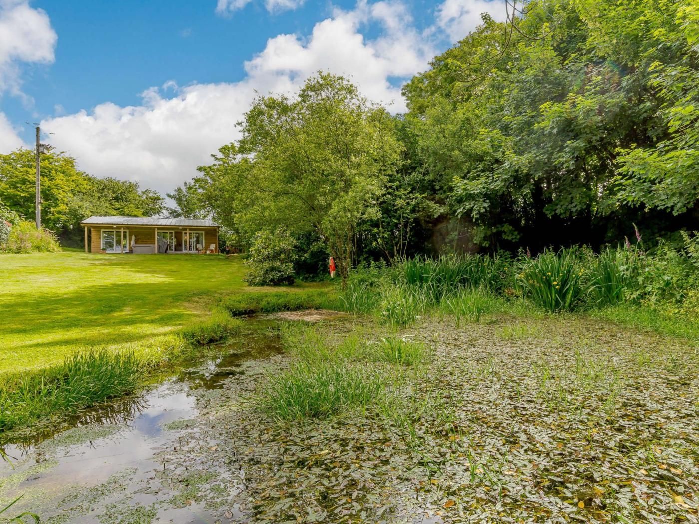 A house with a lawn and a small pond.