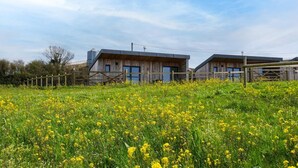 Zwei rustikale Holzhäuser mit großen Fenstern, umgeben von einem Feld voller gelber Blüten.
