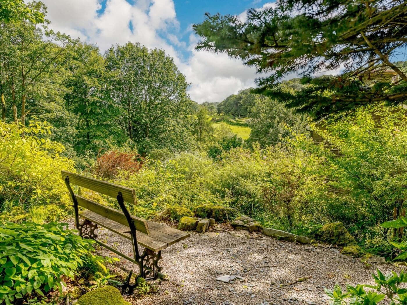 A bench in a natural setting with dense greenery and a clear sky.