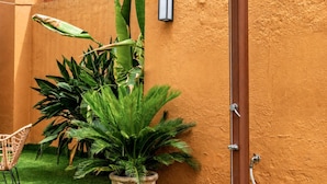 Cabina de ducha con puerta de madera, una luz instalada en la pared y una planta en maceta.