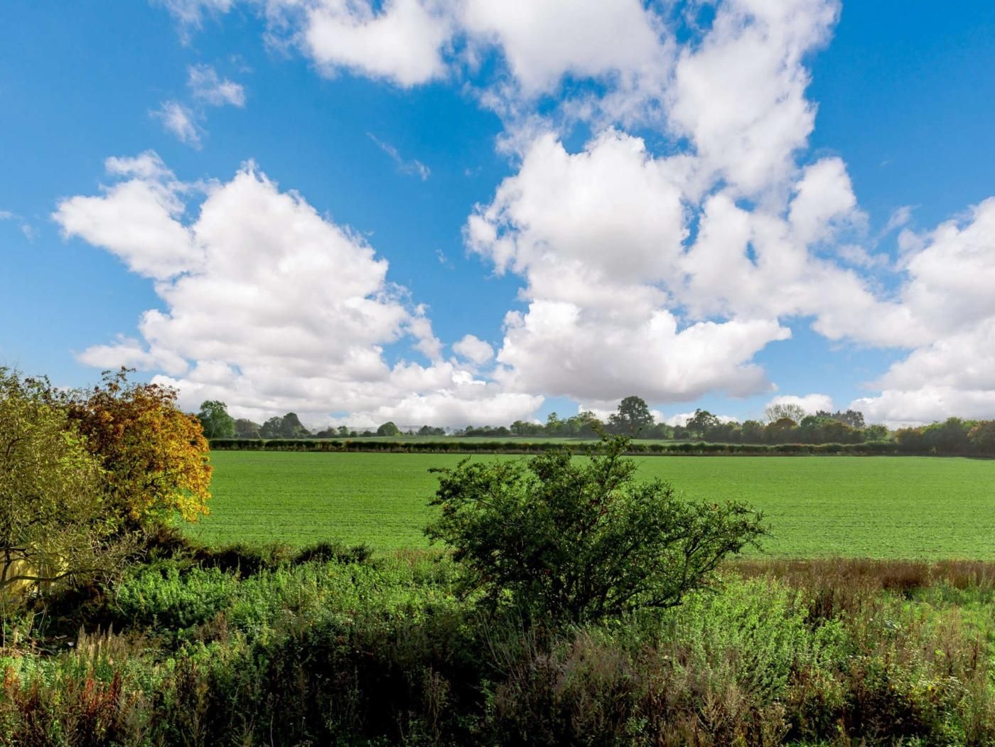 Een landelijk landschap met een groen veld, bomen en een heldere blauwe lucht met wolken.