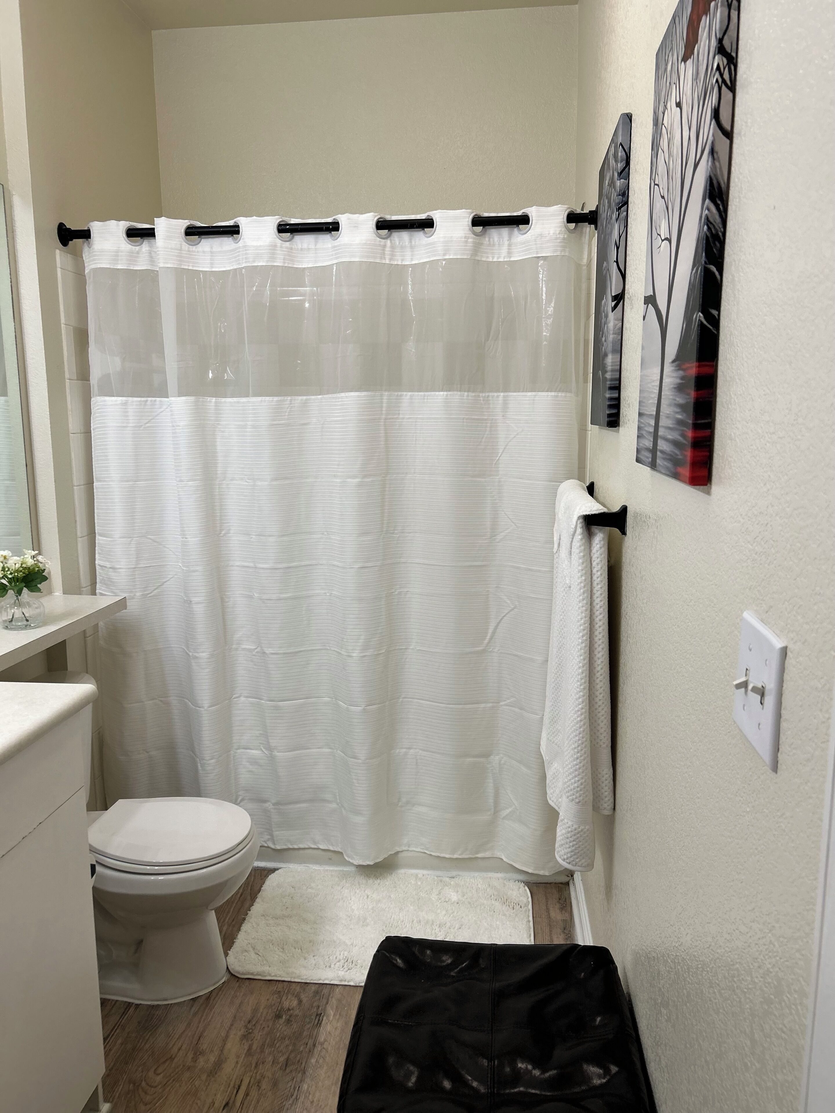 Hair dryer, towels, soap, toilet paper