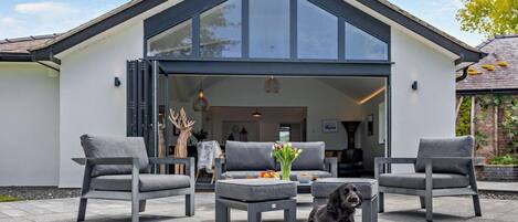 A modern house with a large glass door, grey furniture, and a dog.