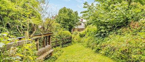 A pathway leading to a house surrounded by dense greenery and a wooden fence.