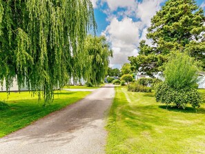 A residential street lined with trees and a clear sky.