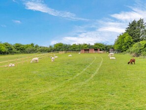A grassy field with a wooden fence, a building in the background, and trees.