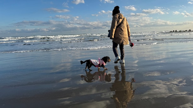 A beach scene with a person and a dog. - Dog Cottage Surfside Kujukuri (Kujukuri)