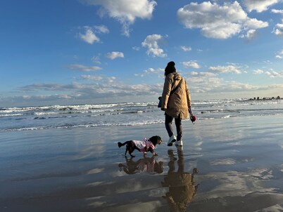 Dog Cottage Surfside Kujukuri