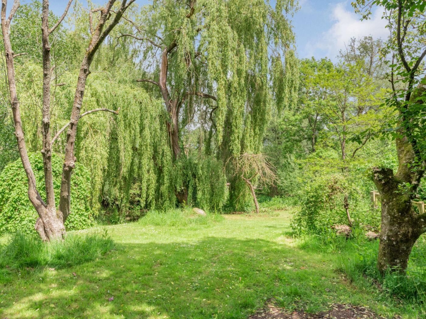 A natural landscape with trees and grass.