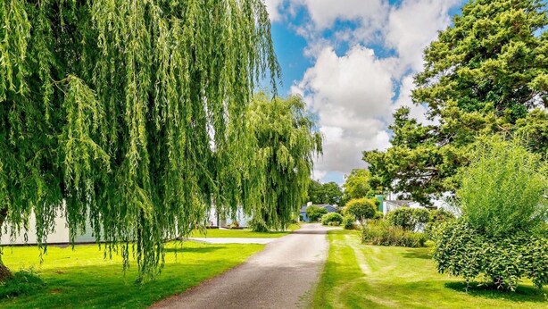 A tree-lined road with a grassy path on one side and a building on the other. - 2 Bed in Saltash (oc-88309) (Notter)
