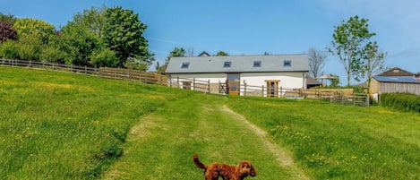 A rural landscape with a grassy path leading to a white building with a grey roof, surrounded by trees and a wooden fence.