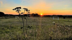 Um campo com um gol de futebol, flores silvestres e um pôr do sol.