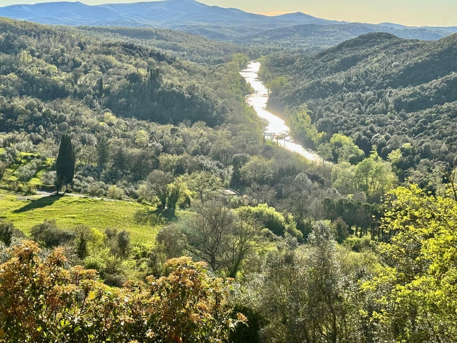 Un río serpentea por un valle boscoso, con colinas al fondo.