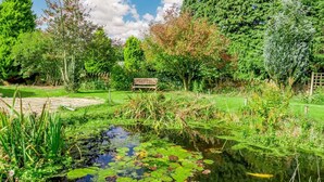 A garden with a pond, a wooden bench, and various trees. - 2 Bed in Pickering (oc-88957) (Newton-on-Rawcliffe)