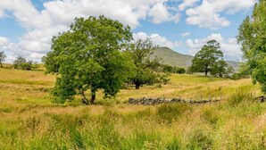 A grassy field with scattered trees and a stone wall.