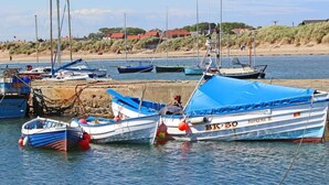 Ein Hafen mit vertäuten Booten, ein Sandstrand und Gebäude im Hintergrund.