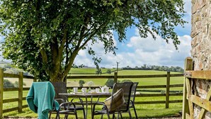 Ein Tisch im Freien mit Stühlen, ein Baum und Blick auf ein grünes Feld.
