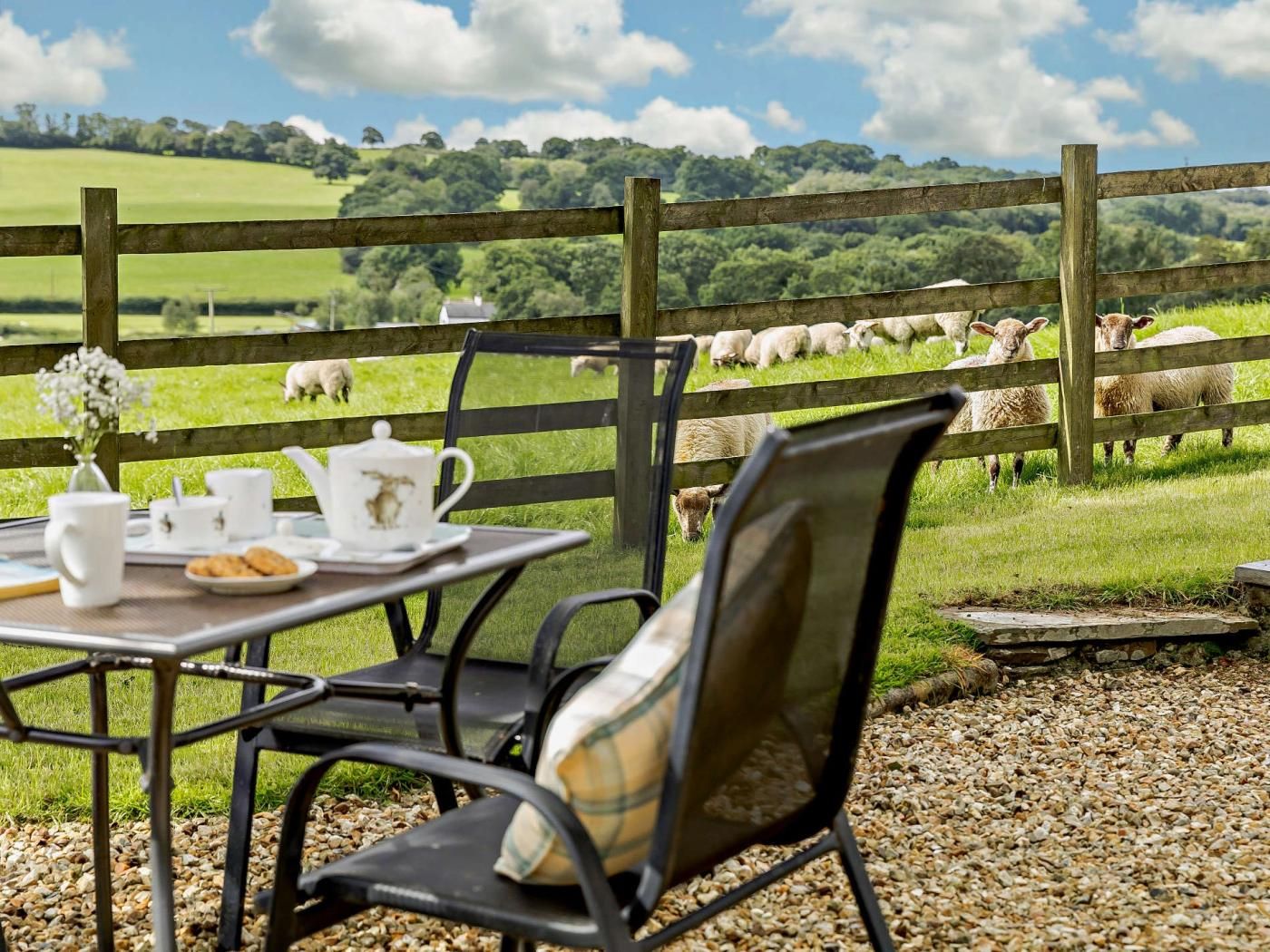 A table set with a teapot, cups, and a plate of cookies, overlooking a grassy field with sheep.