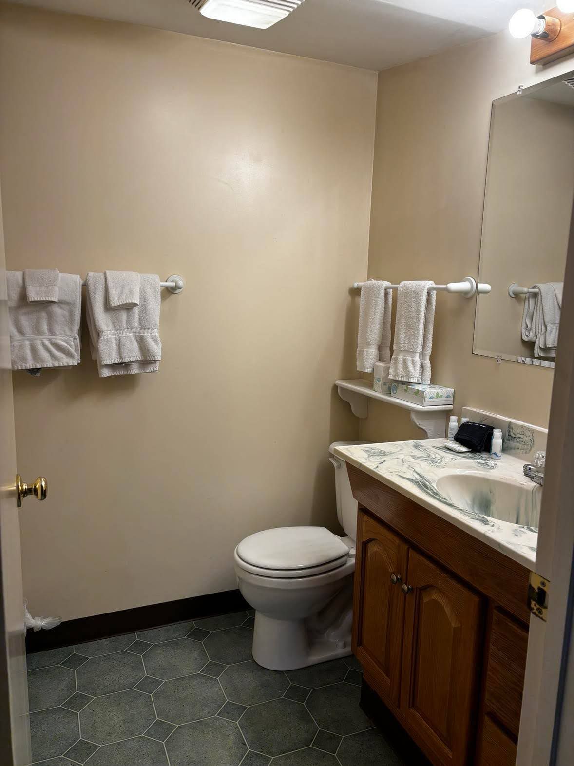 A bathroom with a toilet, sink, and towel rack.