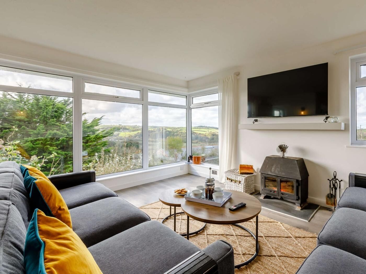 TV, fireplace