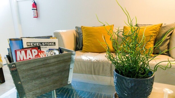 Ein Wohnzimmer mit Glastisch, Magazinregal, Topfpflanze und einer Couch mit Kissen.