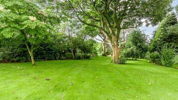 A lush green lawn with mature trees and dense shrubbery.