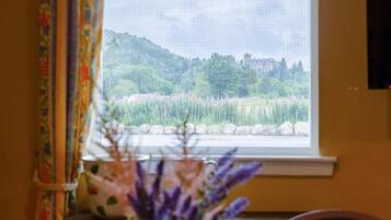 A window with a view of a forested hill and a building in the distance.
