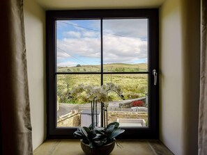 Una ventana con vistas a un paisaje rural, una planta en maceta con flores blancas y un picaporte.