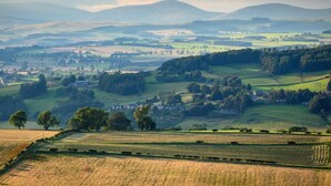 Un paysage rural caractérisé par des collines douces, des champs et des arbres dispersés.