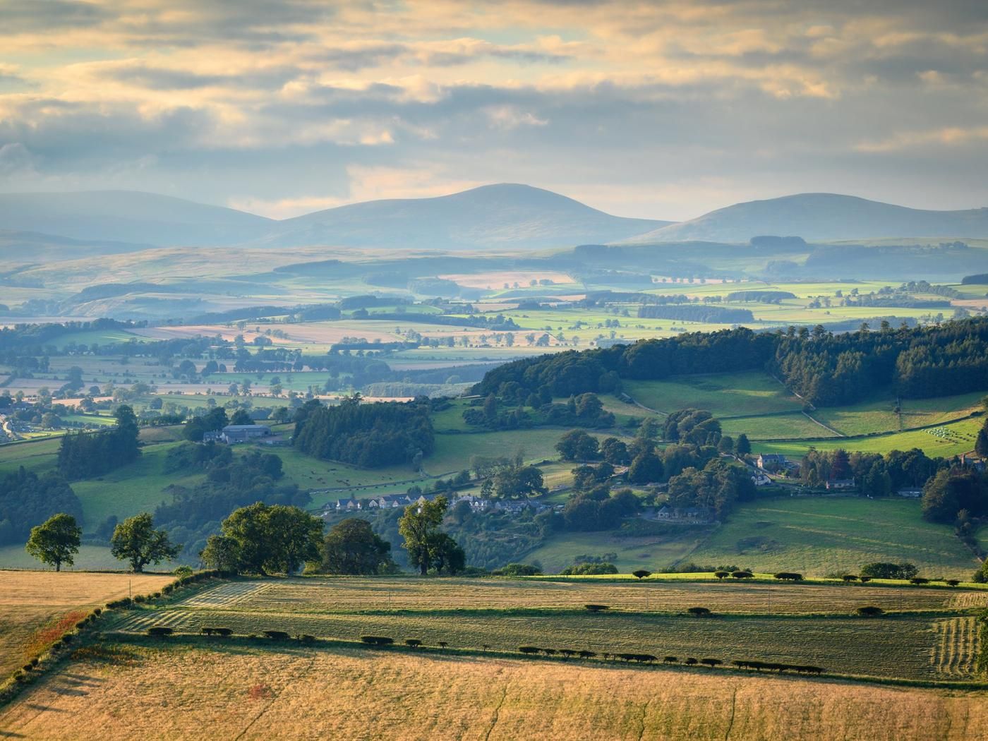 A rural landscape with rolling hills, fields, and scattered trees.