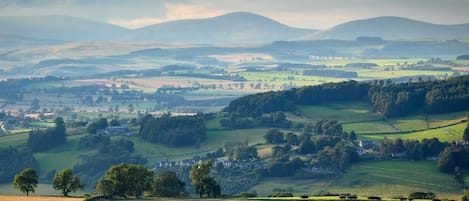A rural landscape with rolling hills, fields, and scattered trees.