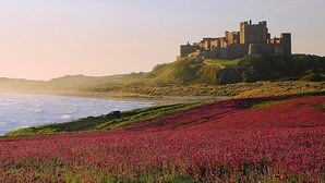 Un château perché sur une colline, dominant la mer, avec un champ de fleurs au premier plan.