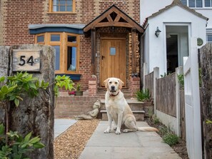 A dog sitting in front of a brick house with a wooden door and a mailbox. - 2 Bed in Norwich (oc-89598) (Haddiscoe)