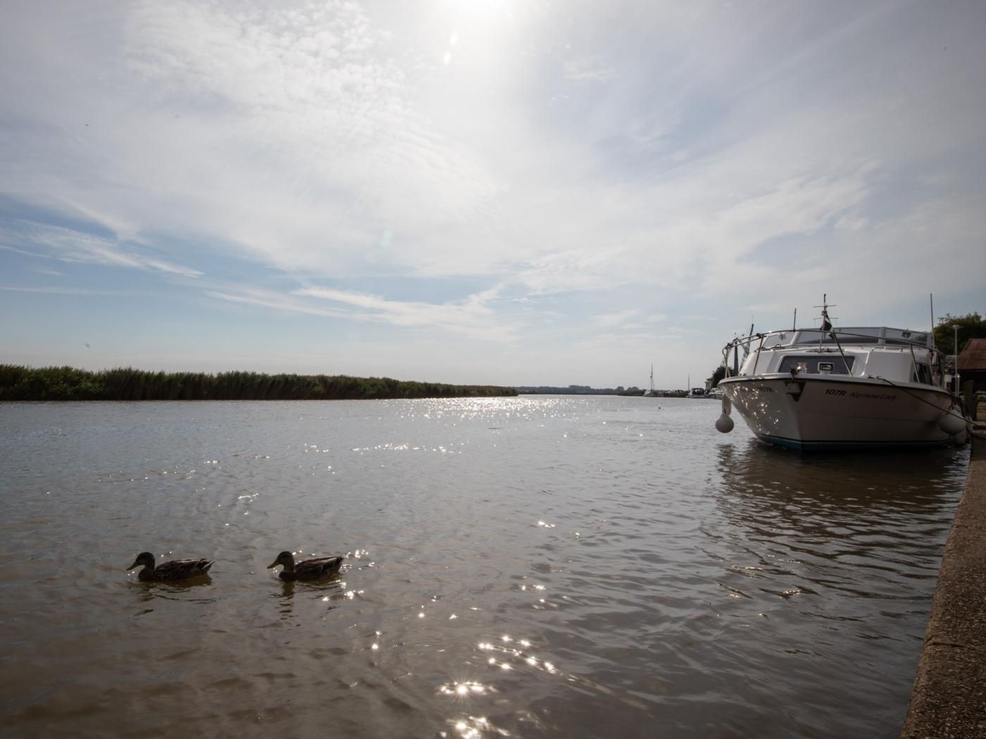 Un río tranquilo con patos nadando, un barco amarrado a la derecha y un cielo despejado.