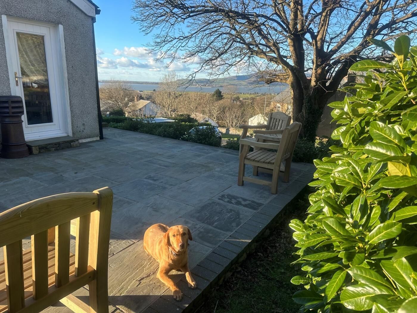 Un patio con un perro, una silla de madera y una casa.