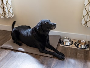 Ein schwarzer Hund liegt auf einer Matte neben einer Futternapf.