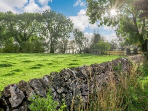 A stone wall with a grassy field and trees in the background.