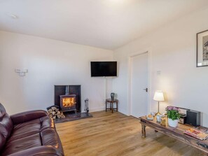 Fernseher, Kamin